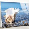Tempered Glass Wall Decor Glass Printing Wall Hangings Abstract Seashell