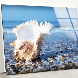 Tempered Glass Wall Decor Glass Printing Wall Hangings Abstract Seashell
