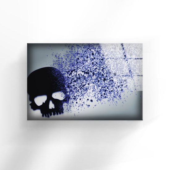 Tempered Glass Wall Decor Glass Printing Wall Hangings Abstract Skull 1