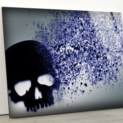 Tempered Glass Wall Decor Glass Printing Wall Hangings Abstract Skull