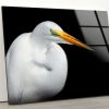 Tempered Glass Wall Decor Glass Printing Wall Hangings Animal Bird