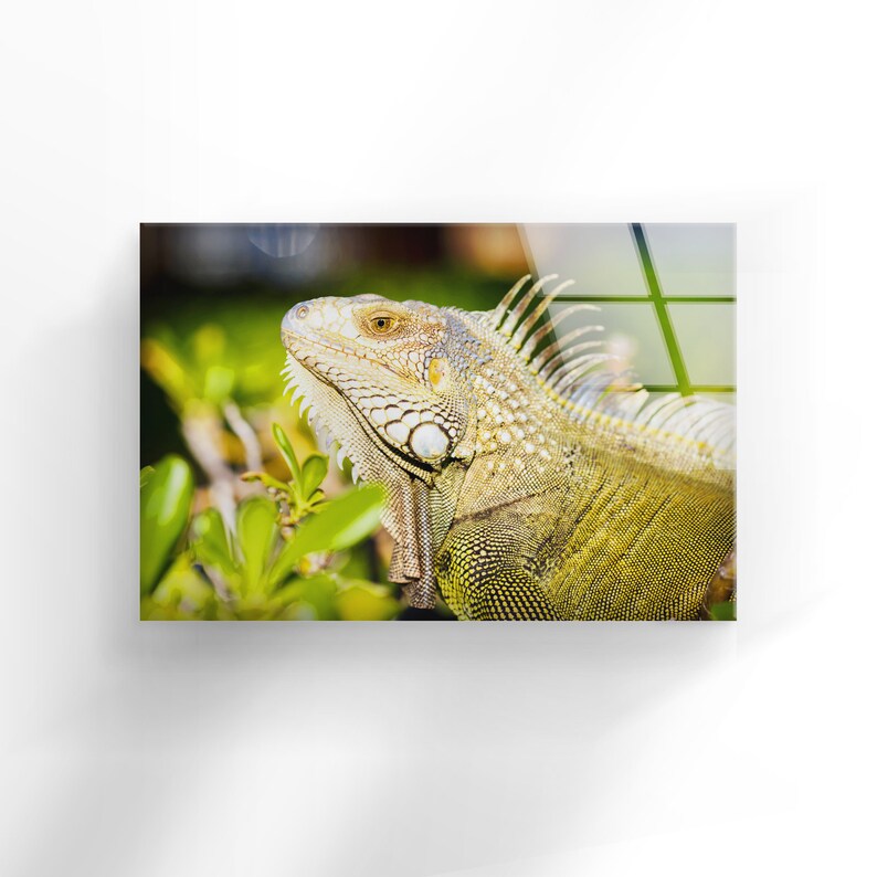 Tempered-Glass-Wall-Decor-Glass-Printing-Wall-Hangings-Animal-Chameleon-1 Tempered Glass Wall Decor Glass Printing Wall Hangings Animal Chameleon 1 1