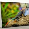 Tempered Glass Wall Decor Glass Printing Wall Hangings Animal Chameleon