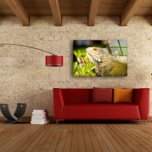 Tempered Glass Wall Decor Glass Printing Wall Hangings Animal Chameleon 2 Tempered Glass Wall Decor Glass Printing Wall Hangings Animal Chameleon 2 1