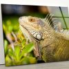 Tempered Glass Wall Decor Glass Printing Wall Hangings Animal Chameleon