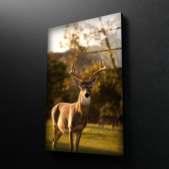 Tempered Glass Wall Decor Glass Printing Wall Hangings Animal Deer Hind 2 1