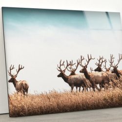 Tempered Glass Wall Decor Glass Printing Wall Hangings Animal Deer Hind