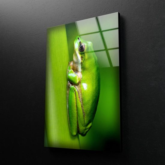 Tempered Glass Wall Decor Glass Printing Wall Hangings Animal Frog 1