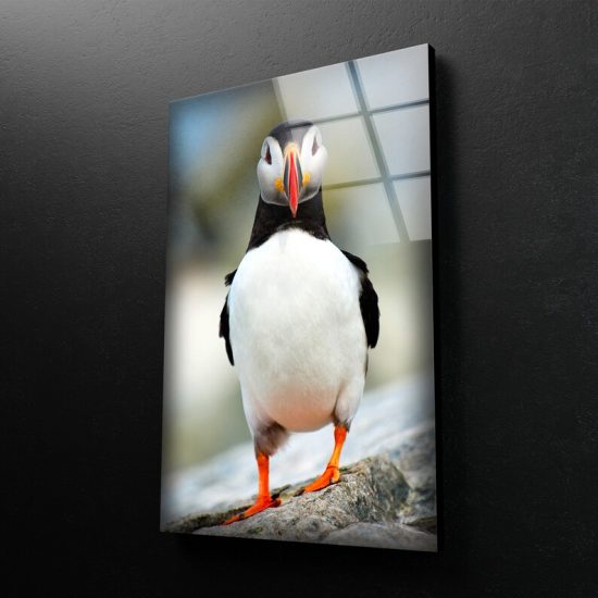 Tempered Glass Wall Decor Glass Printing Wall Hangings Animal Penguin Duck 1