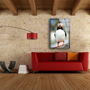 Tempered Glass Wall Decor Glass Printing Wall Hangings Animal Penguin Duck 2