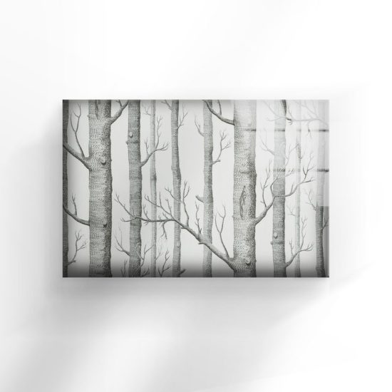 Tempered Glass Wall Decor Glass Printing Wall Hangings Black And White 1
