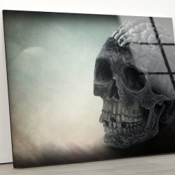 Tempered Glass Wall Decor Glass Printing Wall Hangings Brain Skull