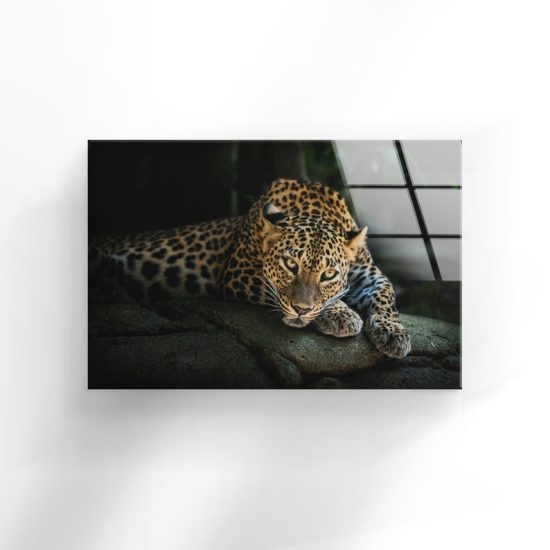 Tempered Glass Wall Decor Glass Printing Wall Hangings Cool Leopard Glass Lion Animal Wall Art 1