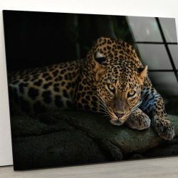 Tempered Glass Wall Decor Glass Printing Wall Hangings Cool Leopard Glass Lion Animal Wall Art