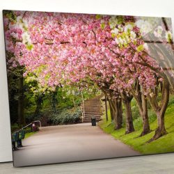 Tempered Glass Wall Decor Glass Printing Wall Hangings Spring Park Garden