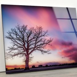 Tempered Glass Wall Decor Glass Printing Wall Hangings Sunset