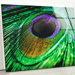 Uv Painted Glass Wall Art Natural And Vivid Wall Modern Wall Art Feather