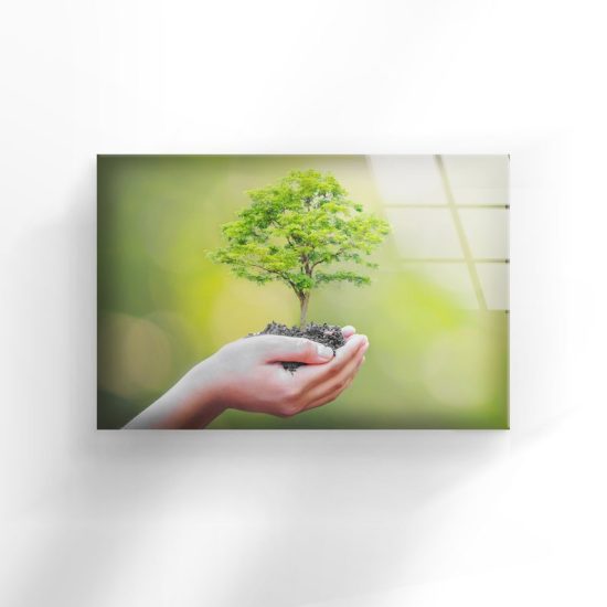 Uv Painted Glass Wall Art Nature And Vivid Wall Tree Planting Ecology Art 1