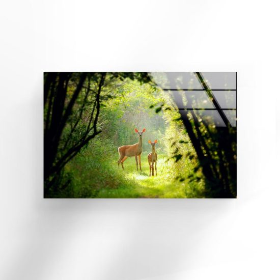 Uv Painted Tempered Glass Wall Art Deer Wall Art Gazelle Wall Art Animal Wall Art 2