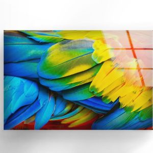 Uv Printing Natural And Vivid Wall Glass Wall Art Abstract Colorful Feather Wall Art 1