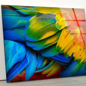Uv Printing Natural And Vivid Wall Glass Wall Art Abstract Colorful Feather Wall Art