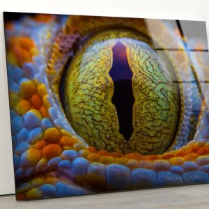Uv Printing Natural And Vivid Wall Glass Wall Art Crocodile Eye Modern Abstract Art