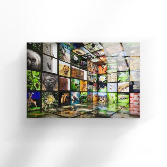 Uv Printing Natural And Vivid Wall Modern Ecology Flowers And Animals Glass Wall Art 1