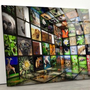Uv Printing Natural And Vivid Wall Modern Ecology Flowers And Animals Glass Wall Art