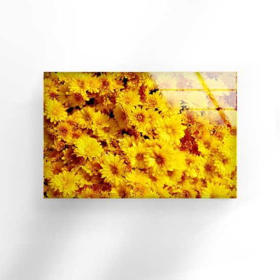 Wall Hangings Flower Wall Art Daisy Wall Art Glass Print 2