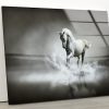 Wall Hangings Horse Wall Art White Horse Glass Print