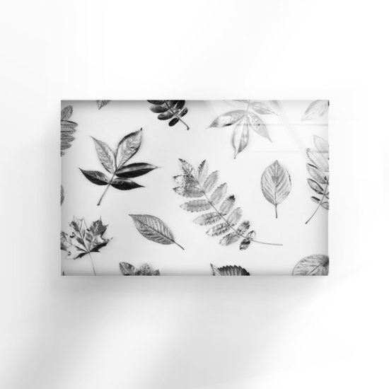 Wall Hangings Leaves Wall Art Leaf Wall Art Glass Print 2