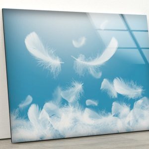 Wall Hangings White Feathers Wall Art Glass Print