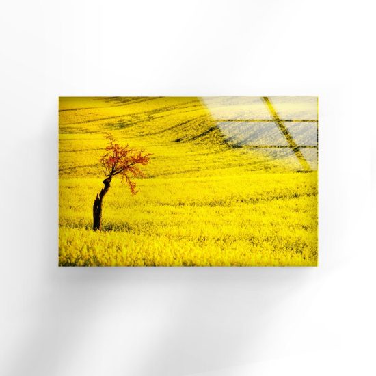 Wall Hangings Yellow Wall Art Autumn Wall Art Glass Print 2