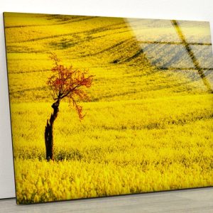 Wall Hangings Yellow Wall Art Autumn Wall Art Glass Print