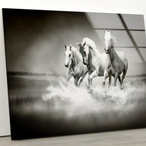 White Horse Wall Art Riding Horse Art Animal Art Glass Print