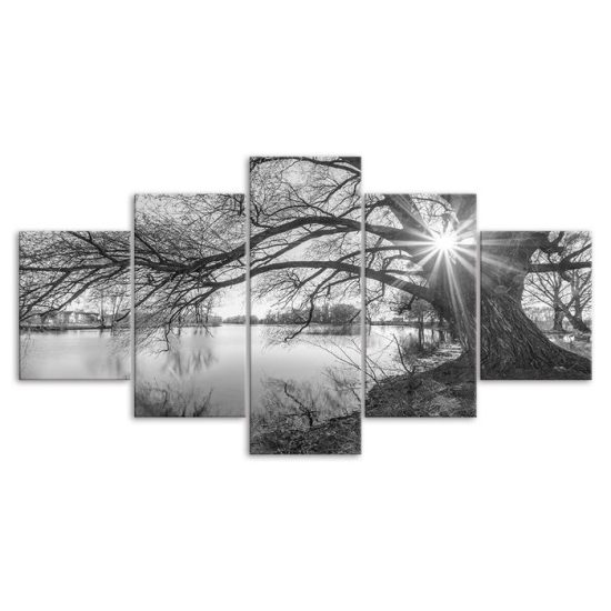 Black and White Tree in Lake Canvas 5 Piece Five Panel Wall Print Modern Poster Wall Art Decor 3