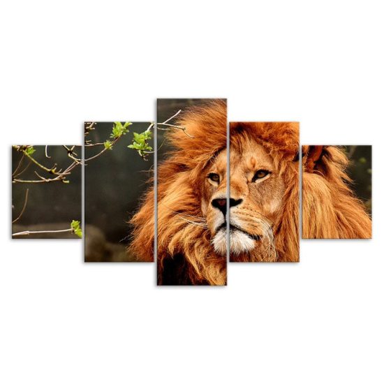 Lonely Lion Wildlife Animal 5 Piece Five Panel Wall Canvas Print Modern Poster Wall Art Decor 3