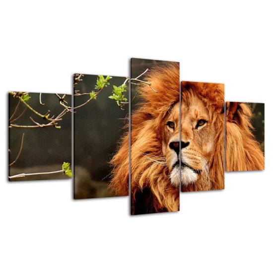 Lonely Lion Wildlife Animal 5 Piece Five Panel Wall Canvas Print Modern Poster Wall Art Decor 4