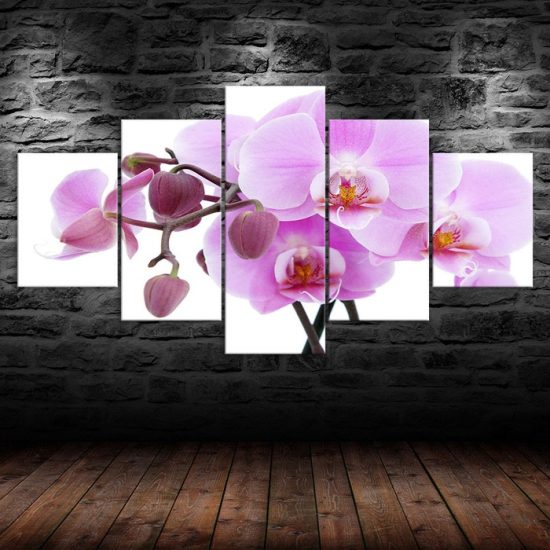 Pink Orchid Flower White Background 5 Piece Five Panel Wall Canvas Print Modern Art Poster Wall Art Decor 1