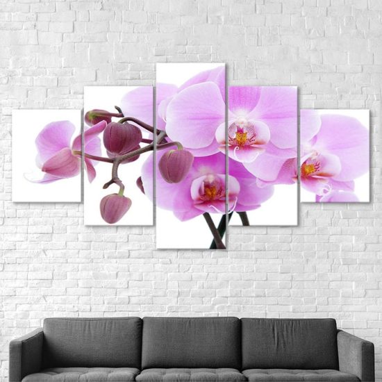Pink Orchid Flower White Background 5 Piece Five Panel Wall Canvas Print Modern Art Poster Wall Art Decor 2
