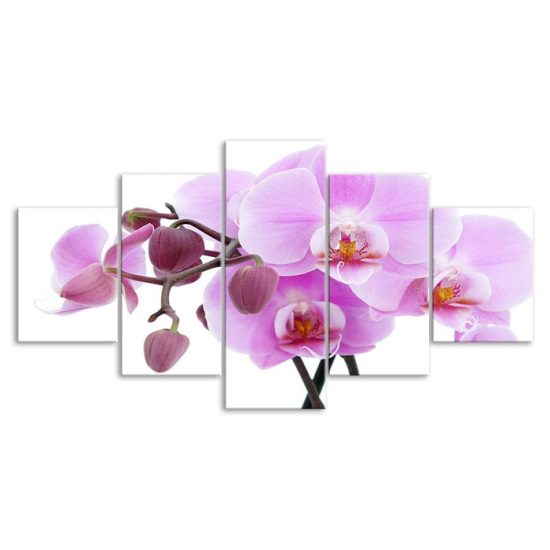 Pink Orchid Flower White Background 5 Piece Five Panel Wall Canvas Print Modern Art Poster Wall Art Decor 3