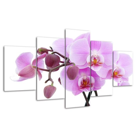 Pink Orchid Flower White Background 5 Piece Five Panel Wall Canvas Print Modern Art Poster Wall Art Decor 4