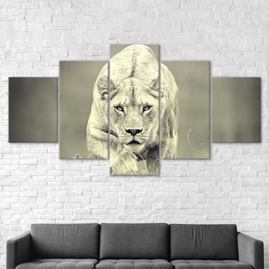 White Lioness Sneaking Wildlife Lion Animal 5 Piece Five Panel Wall Canvas Print Modern Poster Wall Art Decor 2