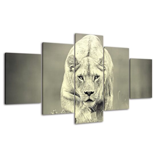 White Lioness Sneaking Wildlife Lion Animal 5 Piece Five Panel Wall Canvas Print Modern Poster Wall Art Decor 4