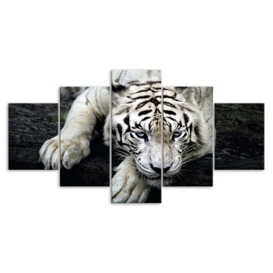 White Tiger Face Wildlife Animal 5 Piece Five Panel Wall Canvas Print Modern Poster Picture Home Decor 3