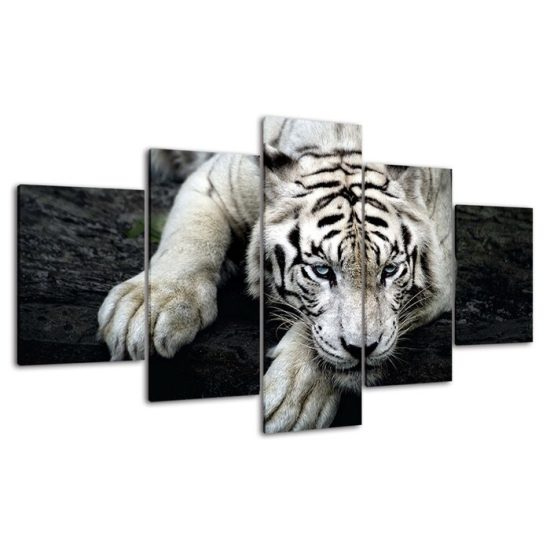 White Tiger Face Wildlife Animal 5 Piece Five Panel Wall Canvas Print Modern Poster Picture Home Decor 4