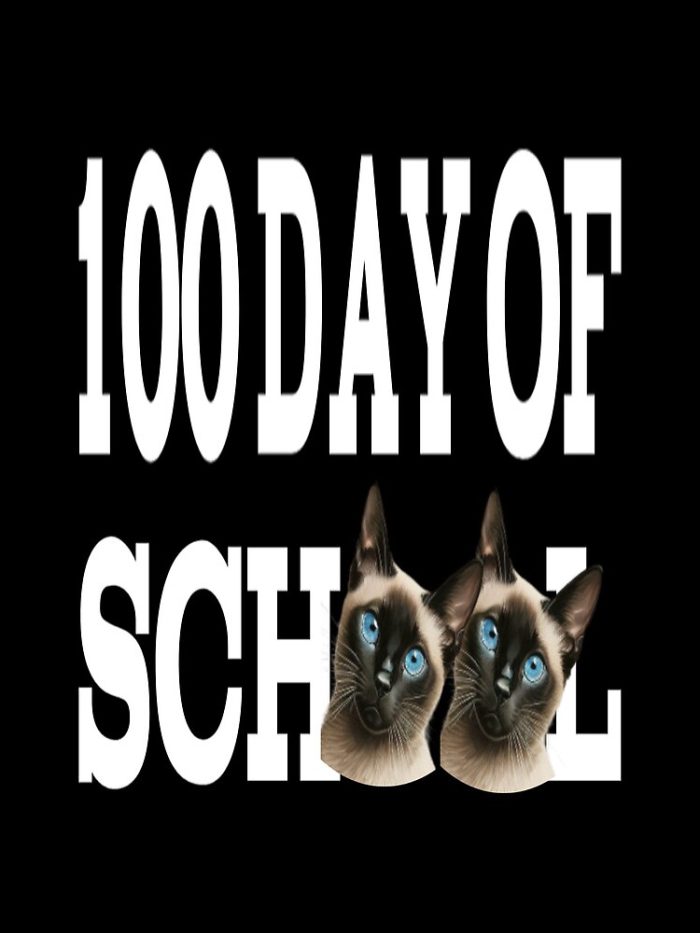 100 Day Of School Cats 100 Day Of School Siamese Cat 100 Day Of School Drawstring Bag DSB1212 1