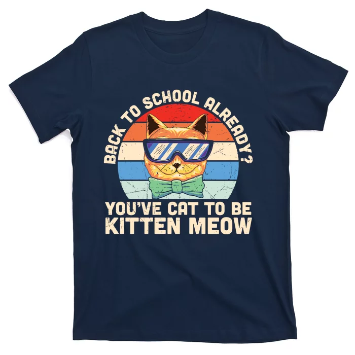 Funny Cat Back To School For Students