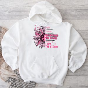 Im The Storm Warrior Pink Ribbon Women Breast Cancer Hoodie 3 1