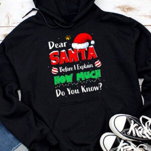 Dear Santa I Can Explain Funny Christmas Shirts Kids Adults Hoodie